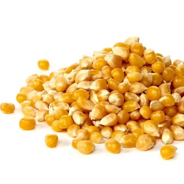 Yellow corn