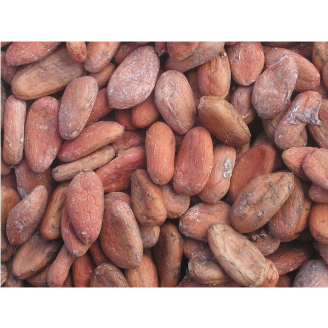 Organic Ceylon Criollo Cocoa Beans 