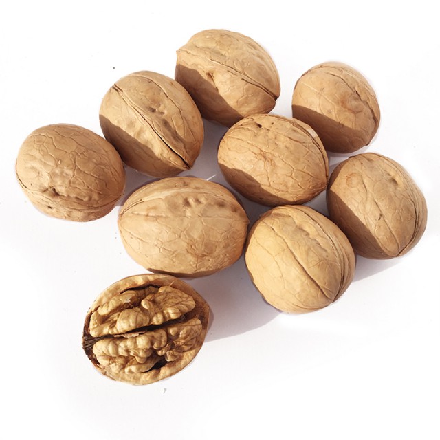 Walnut